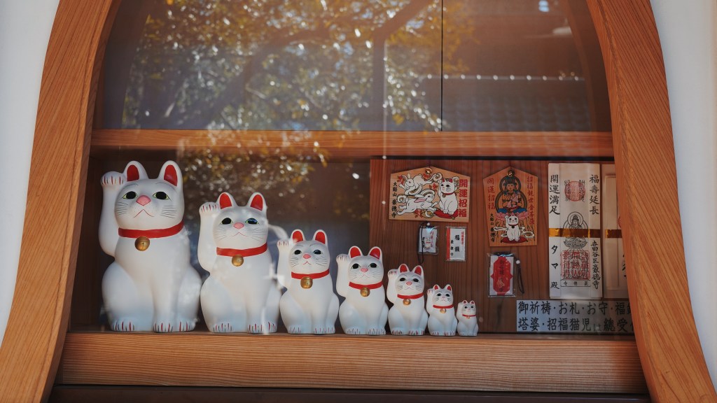 Visiting Lucky Cat Temple in Tokyo&nbsp;Japan